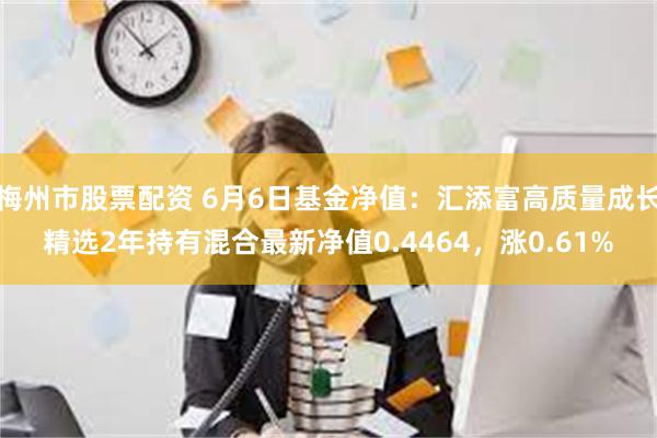 梅州市股票配资 6月6日基金净值：汇添富高质量成长精选2年持有混合最新净值0.4464，涨0.61%