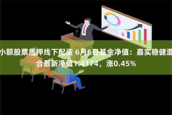 小额股票质押线下配资 6月6日基金净值：嘉实稳健混合最新净值1.4174，涨0.45%