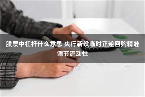 股票中杠杆什么意思 央行新设临时正逆回购精准调节流动性