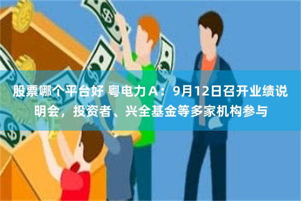 股票哪个平台好 粤电力Ａ：9月12日召开业绩说明会，投资者、兴全基金等多家机构参与