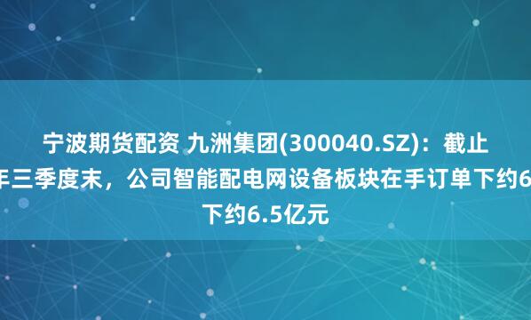 宁波期货配资 九洲集团(300040.SZ)：截止2024年三季度末，公司智能配电网设备板块在手订单下约6.5亿元