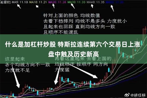 什么是加杠杆炒股 特斯拉连续第六个交易日上涨 盘中触及历史新高