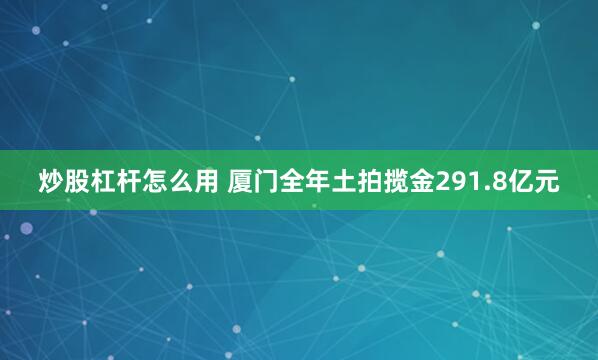 炒股杠杆怎么用 厦门全年土拍揽金291.8亿元