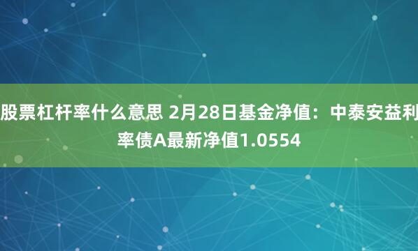 股票杠杆率什么意思 2月28日基金净值：中泰安益利率债A最新净值1.0554