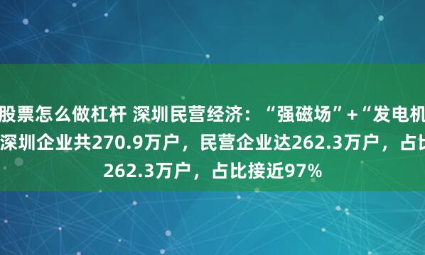 股票怎么做杠杆 深圳民营经济：“强磁场”+“发电机” 2024年深圳企业共270.9万户，民营企业达262.3万户，占比接近97%